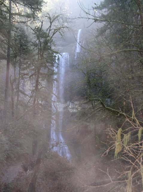 Silver Falls 12.10.05 060 